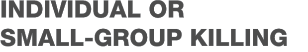 Individual or Small-Group Killing